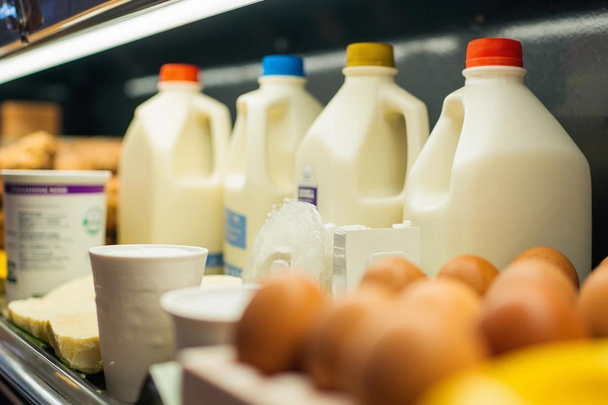 The Complete Guide to Dairy & Egg Products Industry: Global Market & Key Players 2026