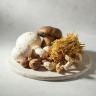 Edible Mushrooms