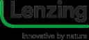 Enterprise logo