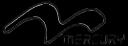 Enterprise logo