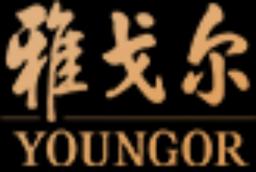 Youngor Group Co., Ltd.​