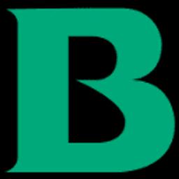 B. Braun SE