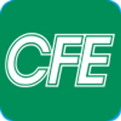 Comisión Federal de Electricidad