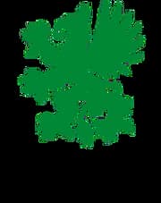 UPM-Kymmene Corporation