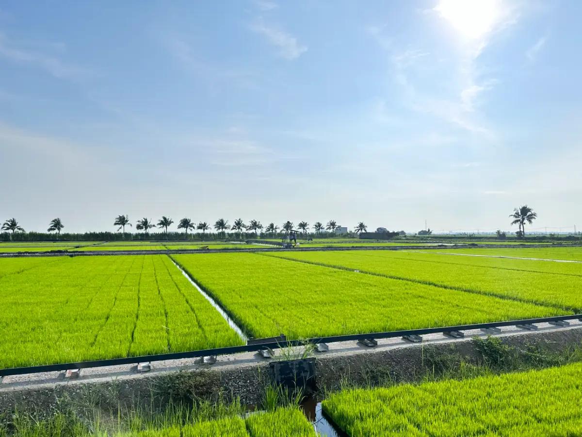 Suppliers Rankings in the Agricultural Products Industry