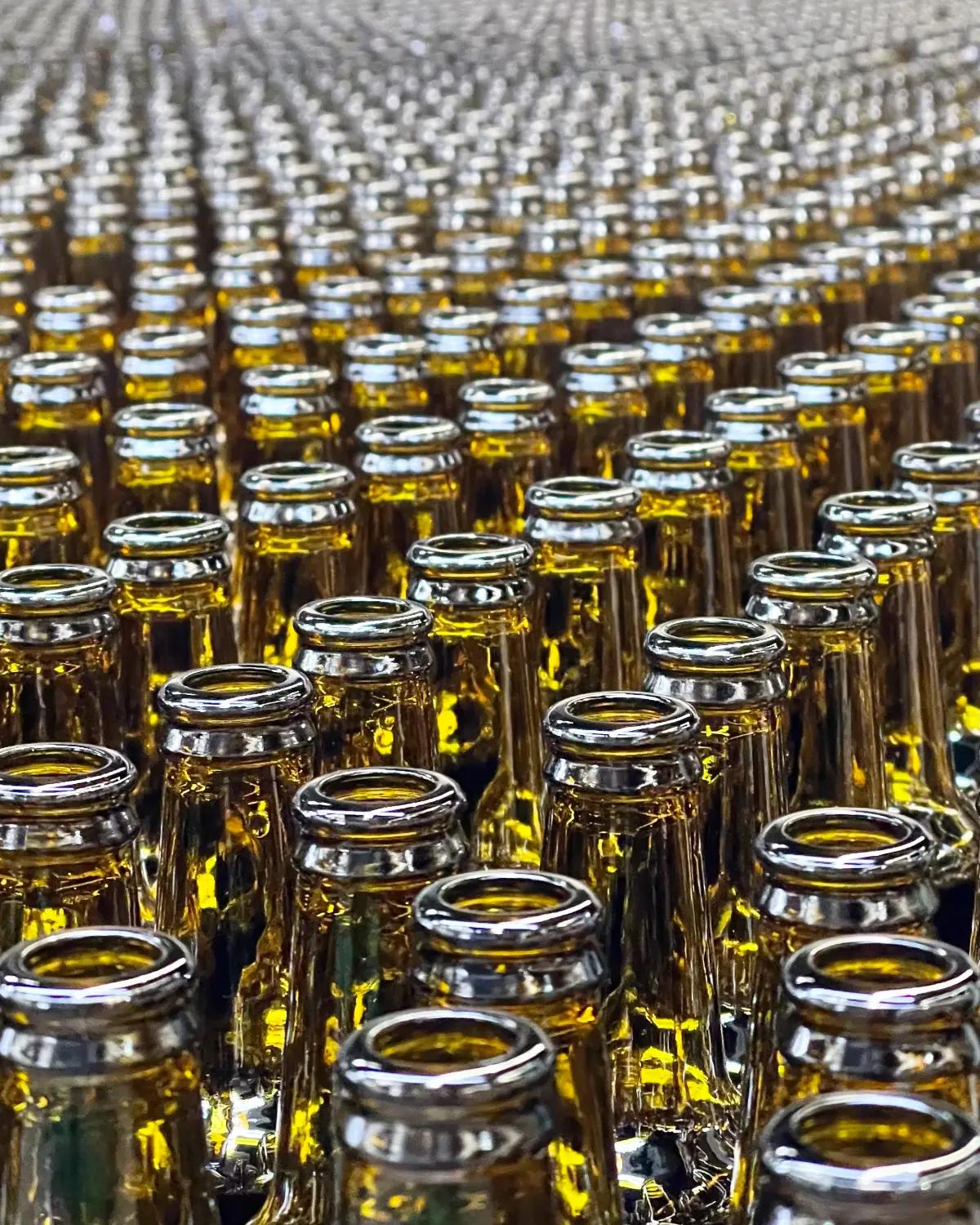 Edible Oils & Fats Products Suppliers