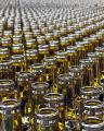 Edible Oils & Fats Products