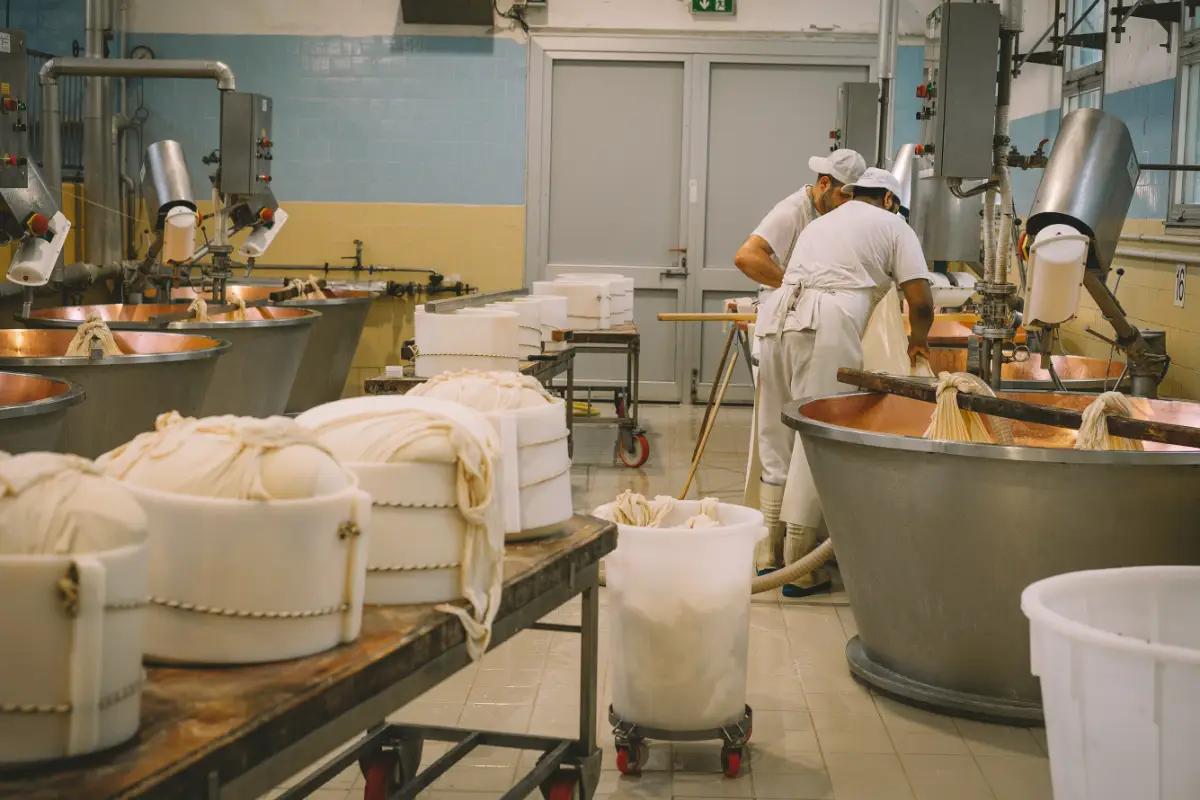 Food Ingredients Suppliers
