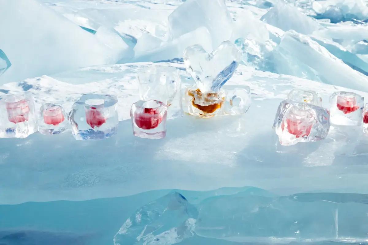 Frozen Prepared Foods Companies