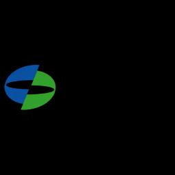 Shanghai Electric Group Company Limited
