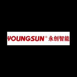 Hangzhou Youngsun Intelligent Equipment Co., Ltd.