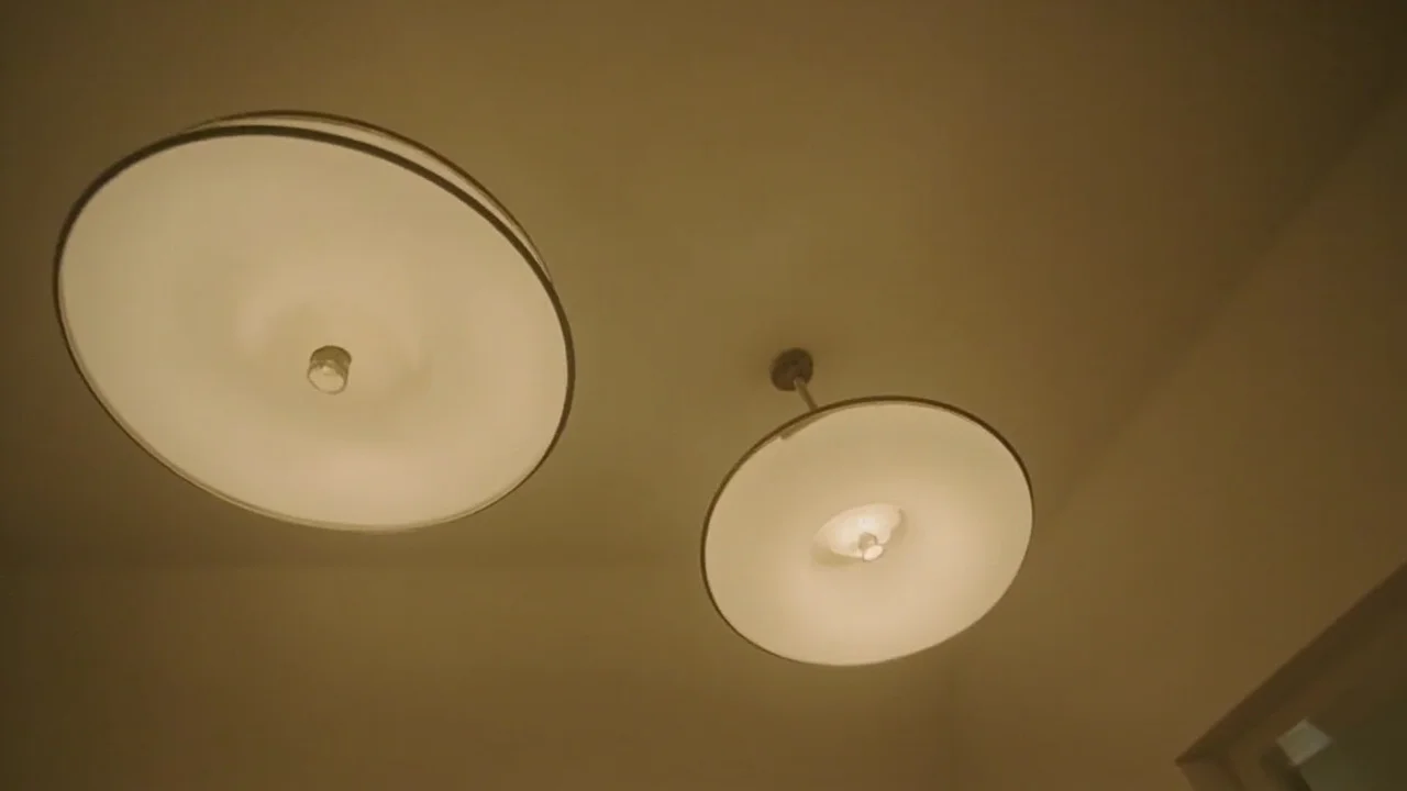 Home Lighting market infographic