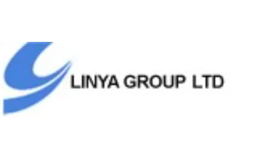Linya Group Co., Ltd. Company logo