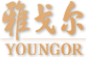 Youngor Group Co., Ltd.​ Company logo