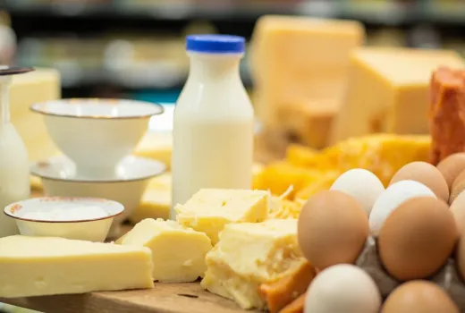 Cheese Category Guide 2026: 10.4% CAGR Reshapes the Dairy Landscape Around Melt-Driven Formats