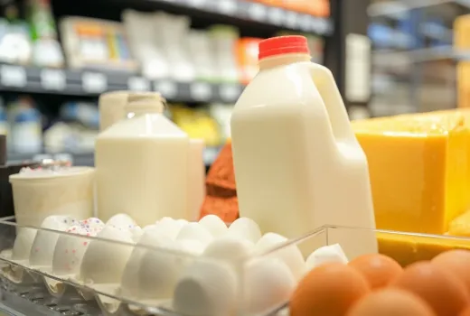 Functional Dairy Trends: $78.9 Billion Market by 2036 and the Ingredients Reshaping the Industry