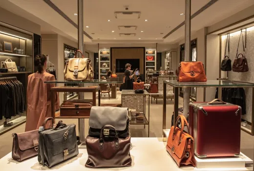 Global Luggage & Accessories Market Analysis 2026: Key Players & Future Outlook