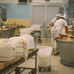 Food Ingredients Suppliers