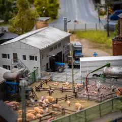 Meat, Poultry & Seafood Wholesaler