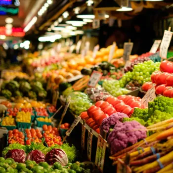 Organic Foods Manufacturers Organic Foods Manufacturers