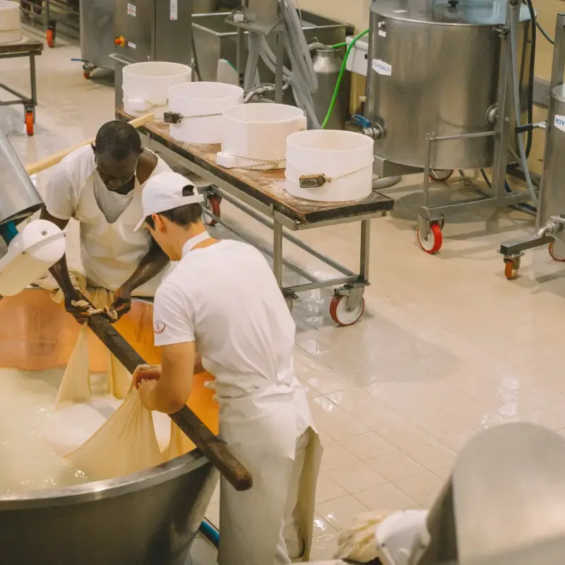 Food Manufacturers Food Manufacturers