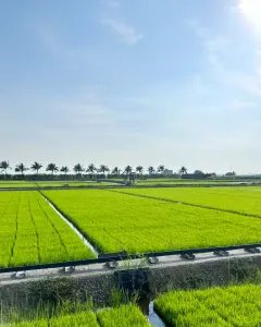 Top 10 Agricultural Products Suppliers